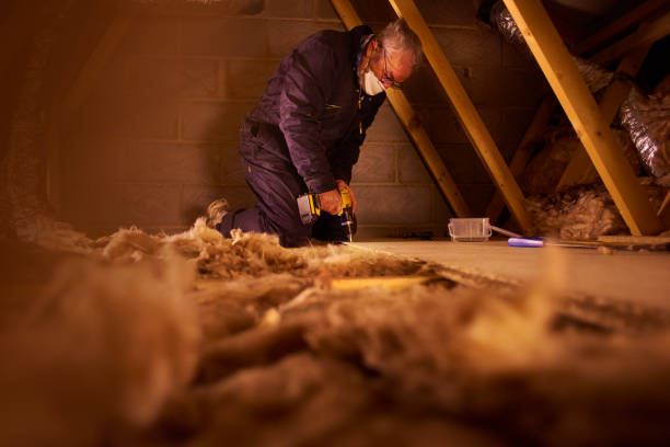 Best Specialized Insulation Services in Livingston, LA
