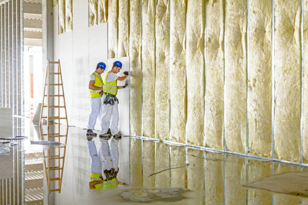 Best DIY Insulation Kits and Guidance in Livingston, LA